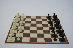 plastic-chess-19