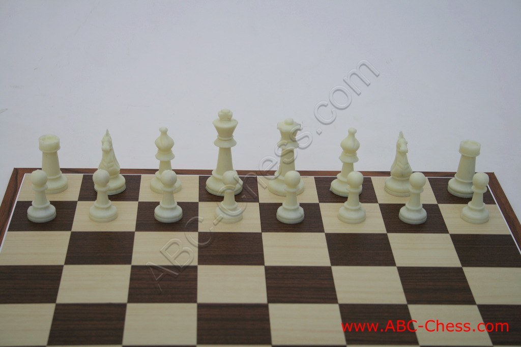 plastic-chess-04.jpg