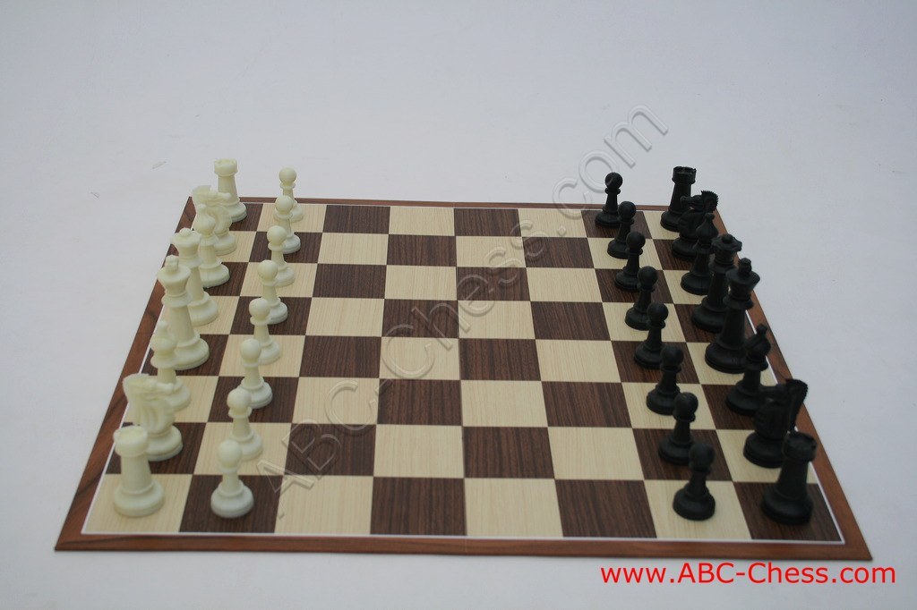 plastic-chess-19.jpg