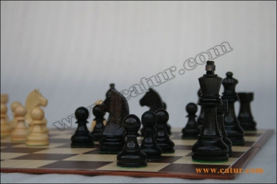 Low Cost Chess Pieces : Mataram