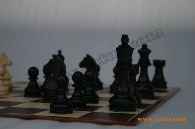 Low Cost Chess Pieces : Mataram