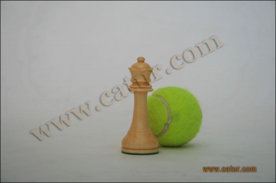 Low Cost Chess Pieces : Pajajaran