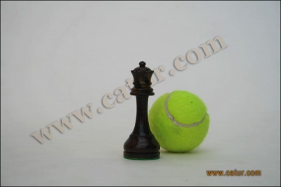 Low Cost Chess Pieces : Pajajaran