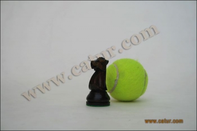 Low Cost Chess Pieces : Pajajaran