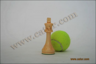 Low Cost Chess Pieces : Pajajaran