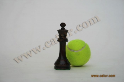 Low Cost Chess Pieces : Pajajaran