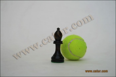 Low Cost Chess Pieces : Pajajaran